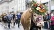 UMZUG, LANDWIRTSCHAFTSAUSTELLUNG, LANDWIRTSCHAFTSMESSE, LANDWIRTSCHAFT, MESSE, OLMA,