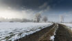 Ruggeller Riet im Winter