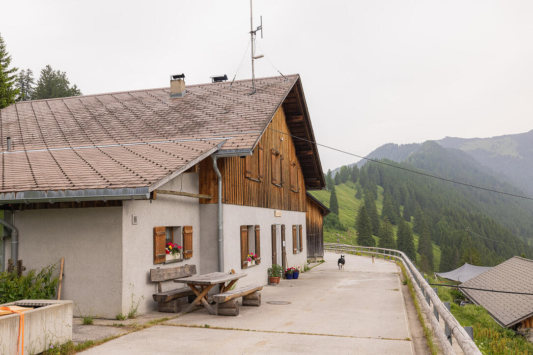 Wanderung: Steg - Alpeti - Pfälzerhütte - Malbun