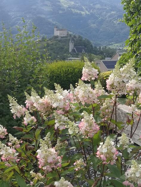#näherdran-Fotowettbewerb Balzers