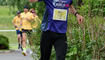 Wings for Life World Run (10.05.2026)