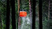 Waldtage in Schaan (23.09.2023)