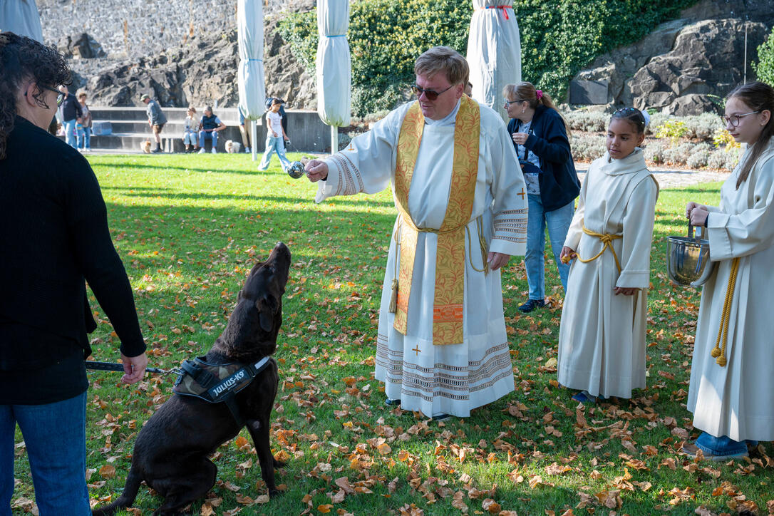 Tiersegnung in Gamprin (03.10.2026)