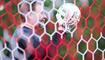 Abschlusstraining FC Vaduz (30.07.2025)