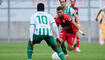 VADUZ - ST. GALLEN