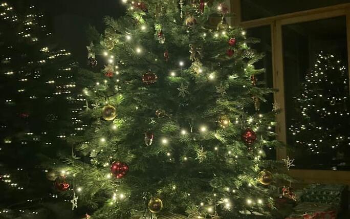 Fotowettbewerb: Zeig uns Deinen Christbaum 2022