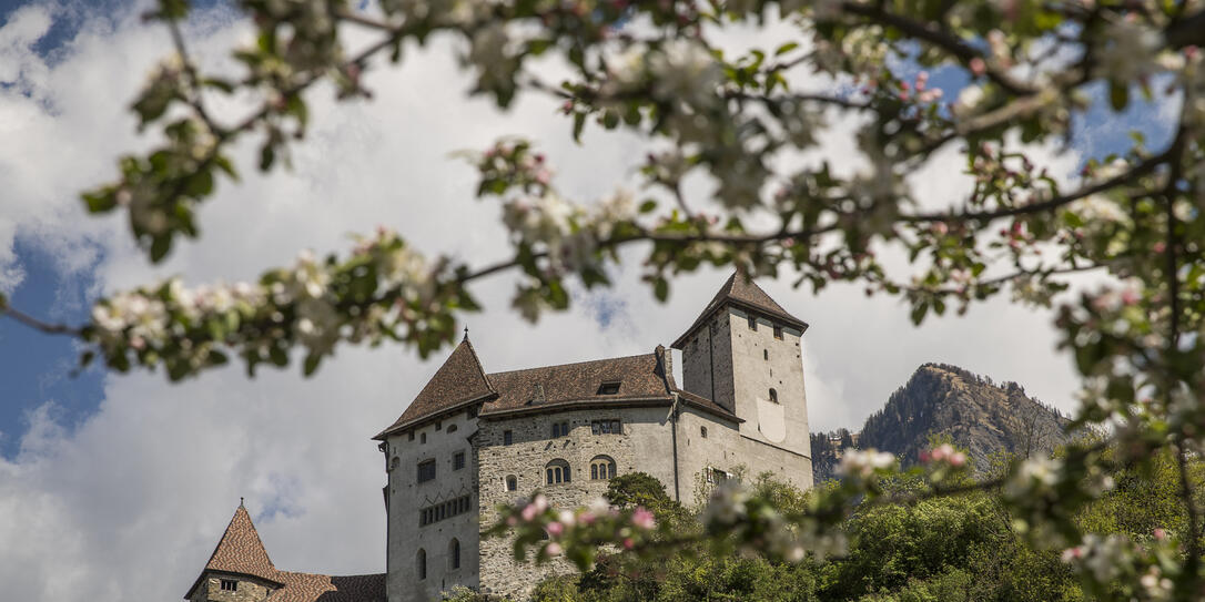 Frühling in Balzers