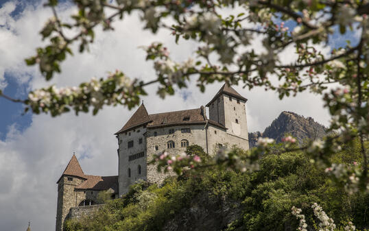 Frühling in Balzers