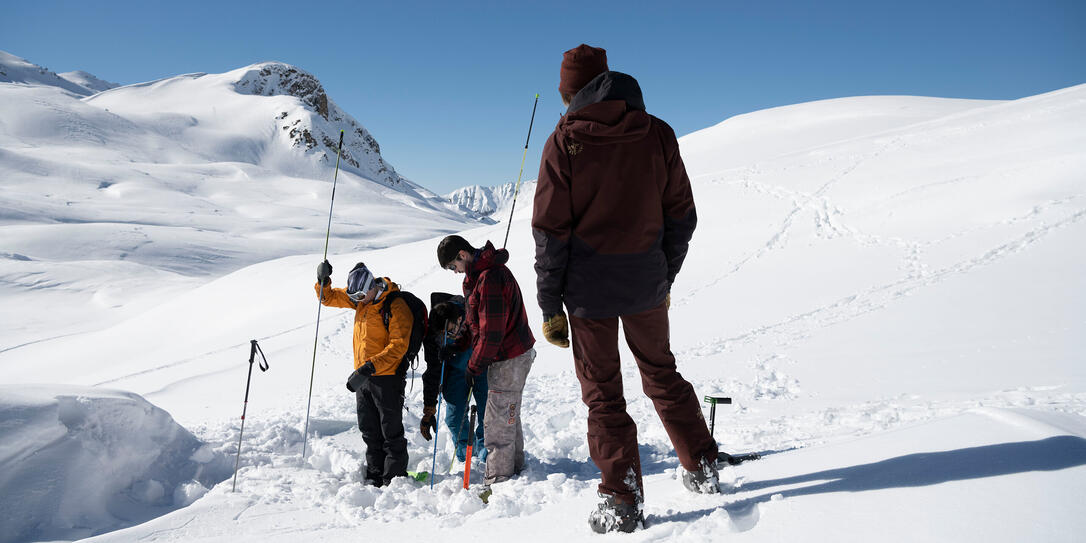 BERGFUEHRER DAVOS-KLOSTERS, LAWINENKURS, KURS, SCHNEESPORT, LAWINENKUNDE, LAWINENTHEORIE, GRUNDAUSBILDUNG, GRUNDKENTNISSE, KURSTEILNEHMER, KURSTEILNEHMENDE, FREERIDER, SONDIERSTANGE, SCHAUFEL, LAWINENSCHAUFEL PRAXIS, PRAXISTEIL, BERGFUEHRER