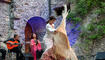 Auftakt Kultursommer mit Andalucia Flamenco