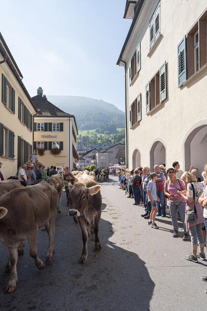 Alpabfahrt in Mels