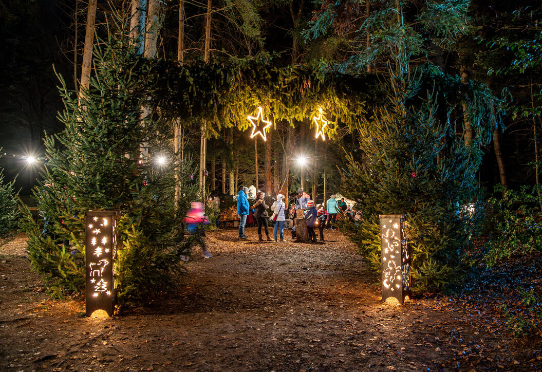 Nikolaus im Walde, Schellenberg (07.12.2024)