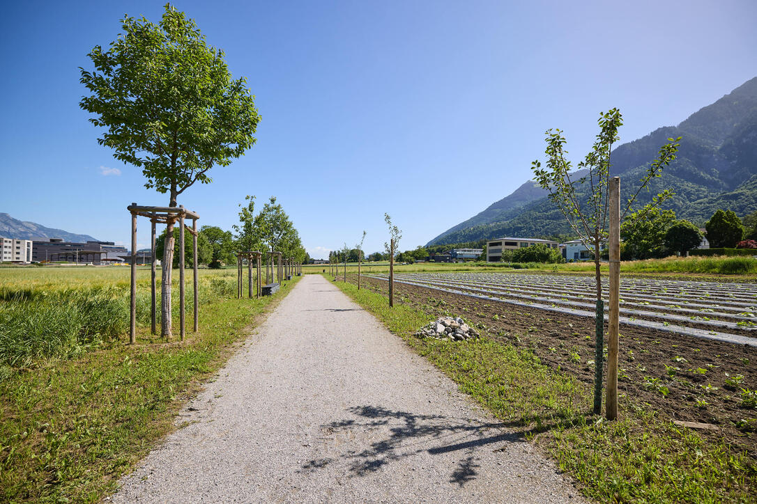 Er&ouml;ffnung Park im &Auml;scherle (13.06.2026)