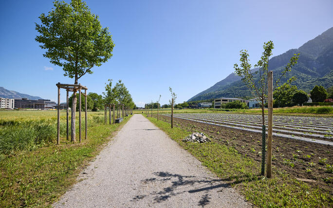 Eröffnung Park im Äscherle (13.06.2026)