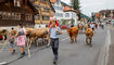 Alpabtrieb, Rüthi, St. Gallen, Schweiz