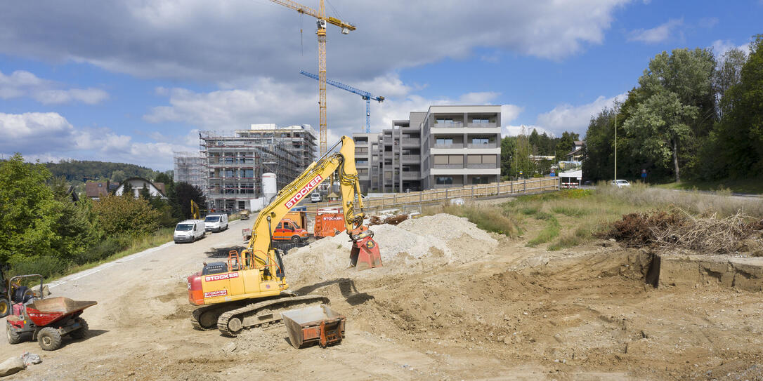 LEUENGARTEN, HAUS, WOHNHAUS, IMMOBILIE, MEHRFAMILIENHAUS, UEBERBAUUNG, WOHNUEBERBAUUNG,SIEDLUNG, WOHNSIEDLUNG,  NEUBAU, BAUEN, BAUSTELLE,  KRAN, BAUKRAN, BAGGER, BAUMASCHINE,