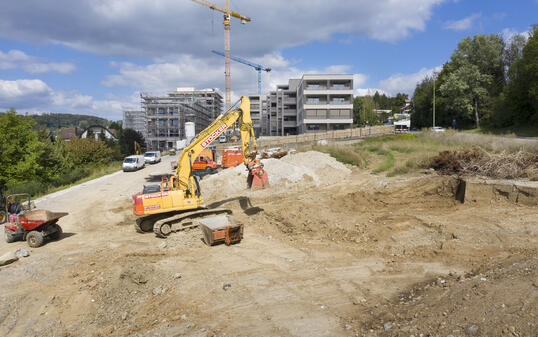 LEUENGARTEN, HAUS, WOHNHAUS, IMMOBILIE, MEHRFAMILIENHAUS, UEBERBAUUNG, WOHNUEBERBAUUNG,SIEDLUNG, WOHNSIEDLUNG,  NEUBAU, BAUEN, BAUSTELLE,  KRAN, BAUKRAN, BAGGER, BAUMASCHINE,