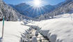 Winter in Steg