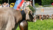 Alpabfahrt-Pradamee durch das Städtle, Vaduz, Liechtenstein.