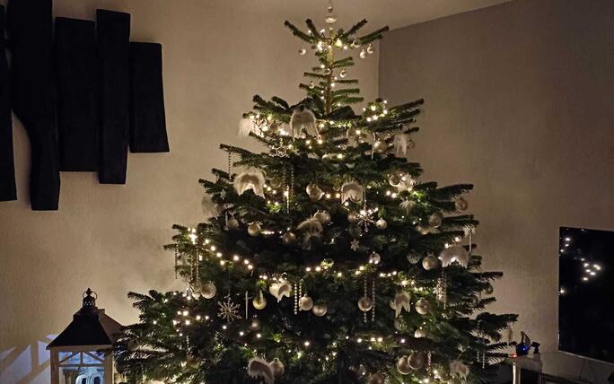 Fotowettbewerb: Zeig uns Deinen Christbaum 2022