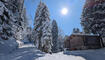 #näherdran-Fotowettbewerb Triesenberg
