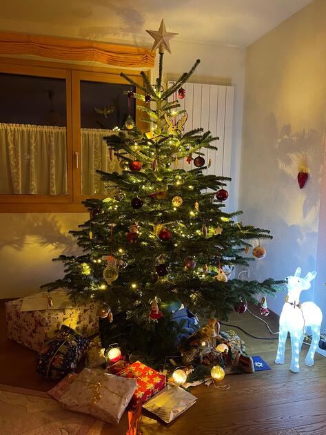 Fotowettbewerb: Zeig uns Deinen Christbaum 2023