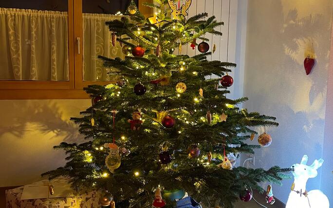 Fotowettbewerb: Zeig uns Deinen Christbaum 2023