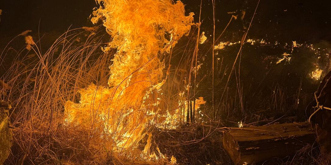 Schilfbrand am 9. M&auml;rz in Mauren