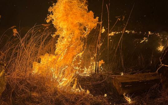 Schilfbrand am 9. März in Mauren