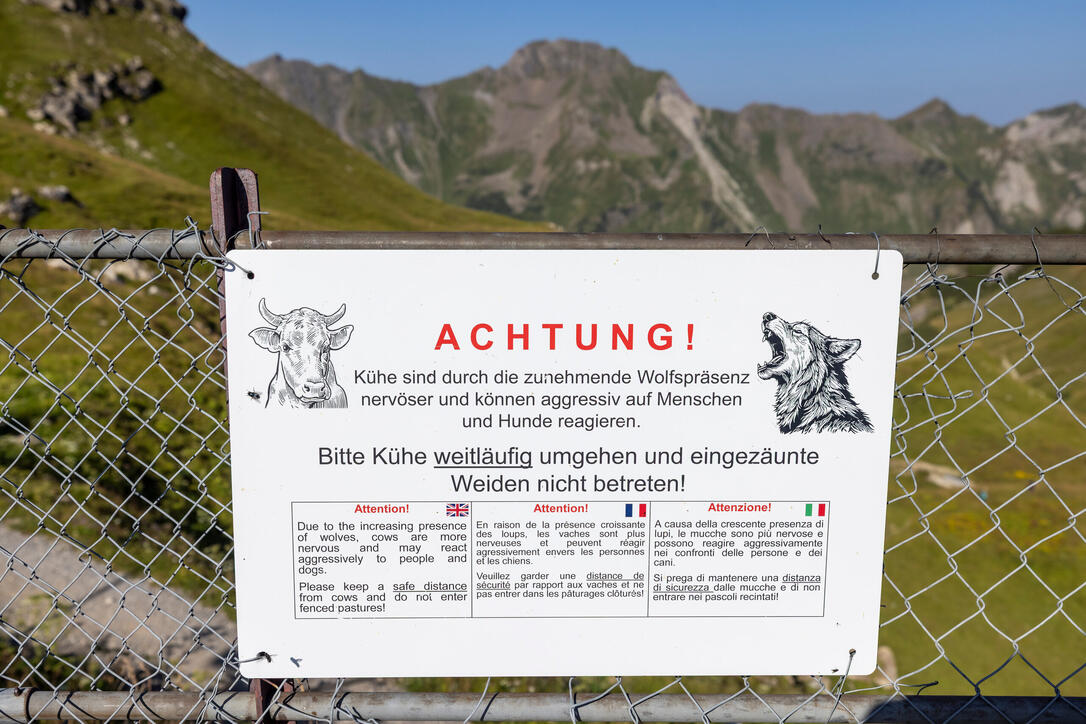 Wanderung Pf&auml;lzerh&uuml;tte Naafkopf