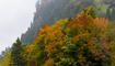 Herbst im Land