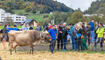 Melser Herbstviehschau (11.10.2024)