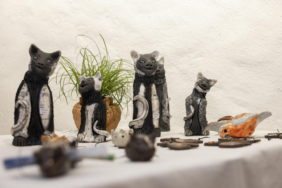 Ausstellung «Auf leisen Pfoten» in Werdenberg