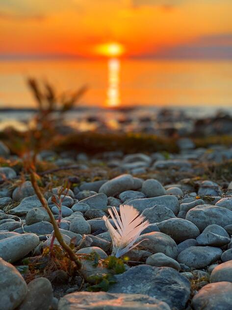 Sonnenuntergang am Bodensee