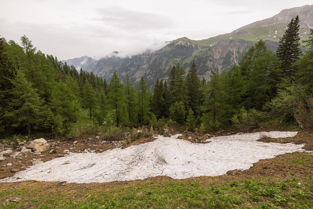 Wanderung: Steg - Alpeti - Pfälzerhütte - Malbun