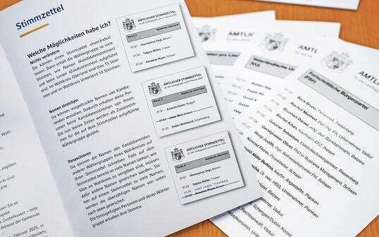 250110 Sonderbund Landtagswahlen 2025 -  «Richtig wählen»