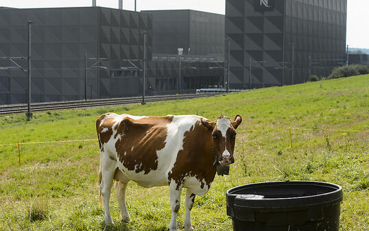 Der Nahrungsmittelriese Nestlé will Milliarden für die Verringerung seines Öko-Fussabdrucks investieren. (Archivbild)
