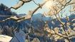 Winterwunderland Liechtenstein (03.12.23)