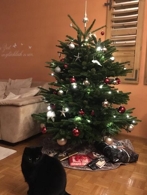 Brigitte Walser, Schaan