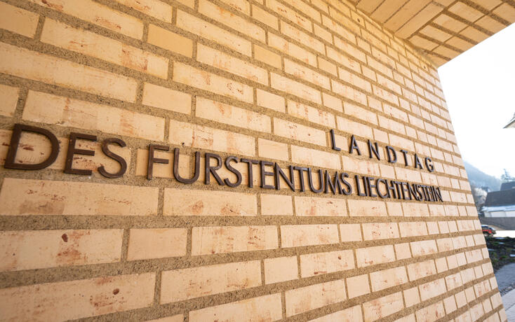 240308 Liechtensteiner Landtag - Symbolfoto