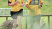 Wings for Life World Run (10.05.2026)
