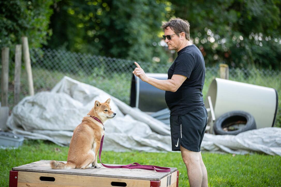 Hundeplausch Balzers (20.06.2026)