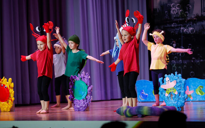Turnunterhaltung STV Oberriet-Eichenwies, St. Gallen, Schweiz