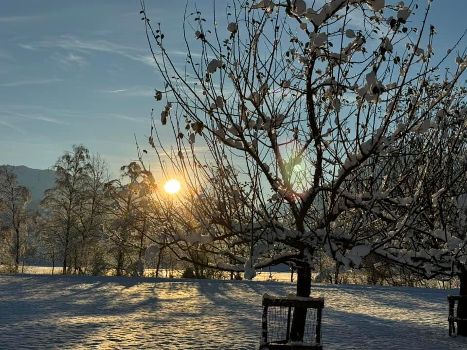 Winterwunderland Liechtenstein (03.12.23)