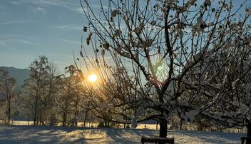Winterwunderland Liechtenstein (03.12.23)