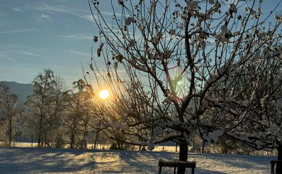 Winterwunderland Liechtenstein (03.12.23)