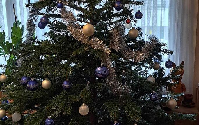 Fotowettbewerb: Zeig uns Deinen Christbaum 2022