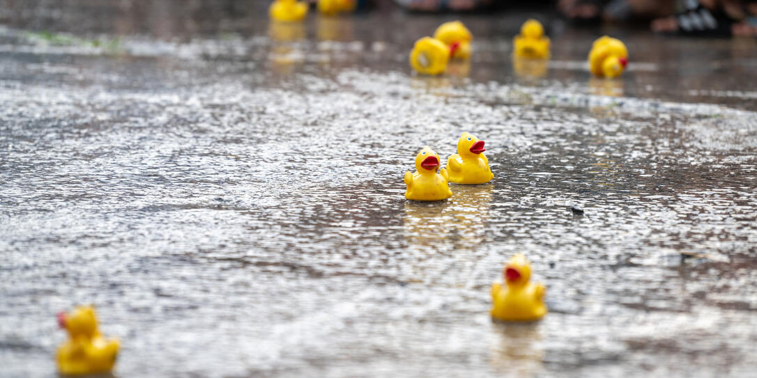 Sommer-Entenrennen