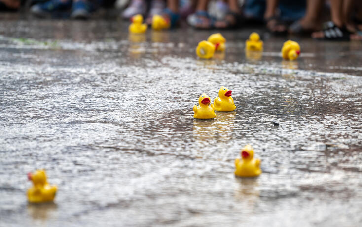 Sommer-Entenrennen