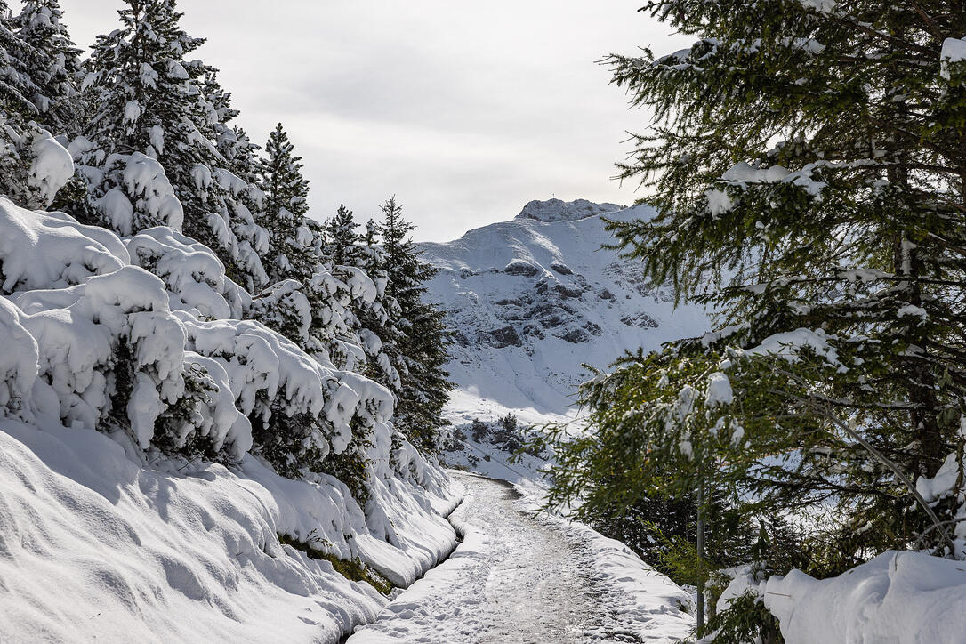 Erster Schnee in Liechtenstein